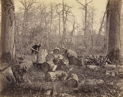 Bosque de Fontainebleau de Charles Famin